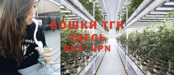 ALPHA PVP Вяземский