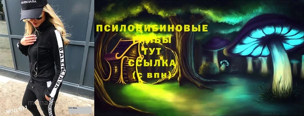 прущий лед Вязники