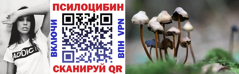 купить наркоту  Железногорск  нарко площадка телеграм  Псилоцибиновые грибы Cubensis  MEGA как войти 